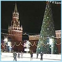 В Москву доставили главную елку страны