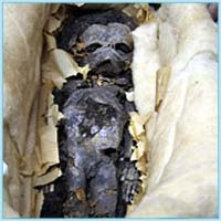 В гробнице Тутанхамона найдены два зародыша